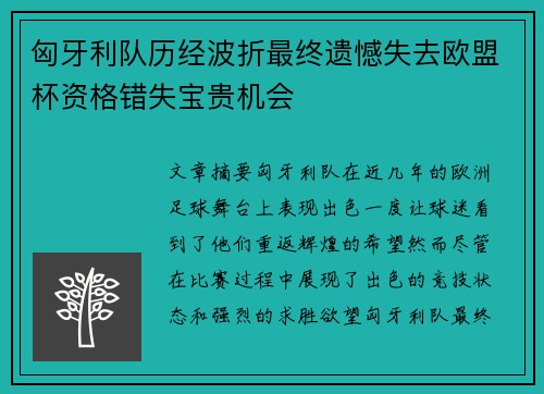 匈牙利队历经波折最终遗憾失去欧盟杯资格错失宝贵机会