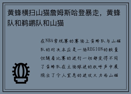 黄蜂横扫山猫詹姆斯哈登暴走，黄蜂队和鹈鹕队和山猫